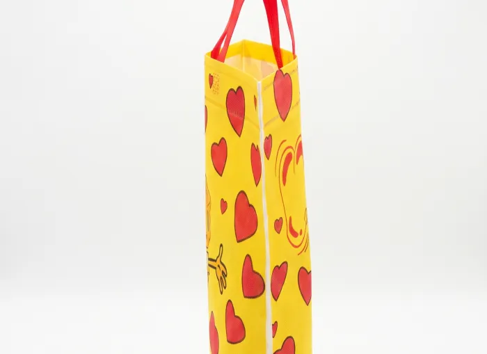 Bolsas de Friselina Paramount 6