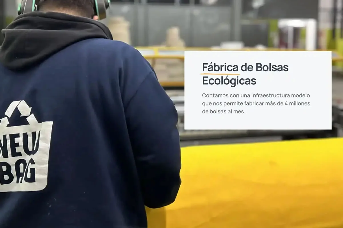 Fabrica de Bolsas Ecológicas de Friselina